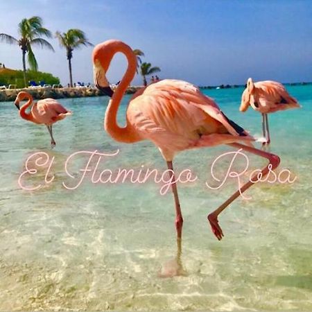 Casa Vacanze El Flamingo Rosa Cod Iun P5386 イグレージアス エクステリア 写真